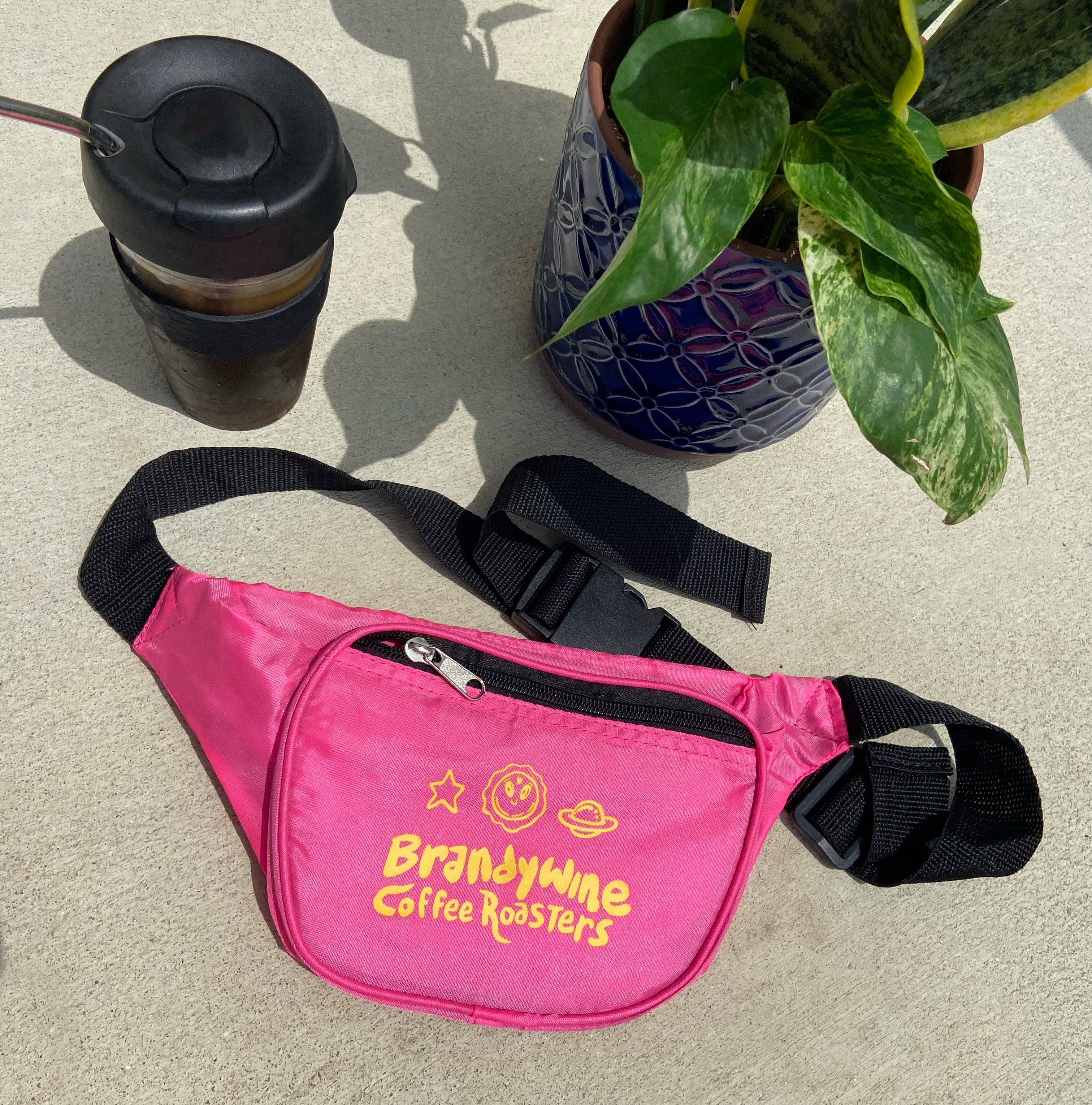 Pretty Pink Fanny Pack!